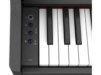 <b>Roland RP107-BKX Piano Eletrónico preto USB Bluetooth 88 teclas app Roland Piano BEST-SELLER</b> <b>Roland RP107-BKX Piano Eletrónico preto USB Bluetooth 88 teclas app Roland Piano BEST-SELLER</b>